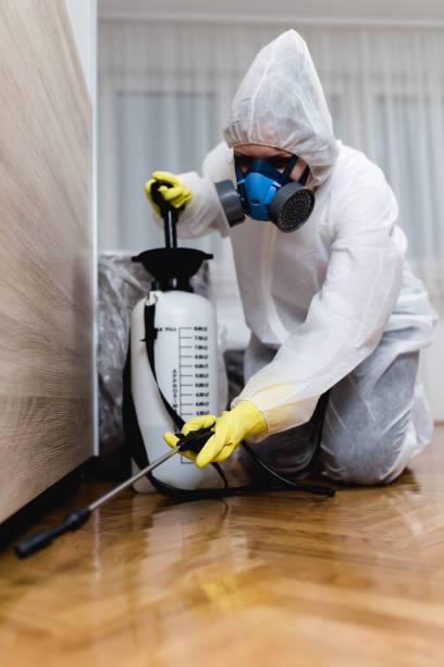 Best Indoor Pest Control  in USA